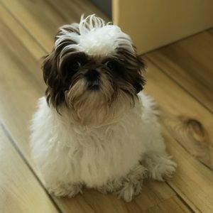 Meet your Posher, Elisabeth